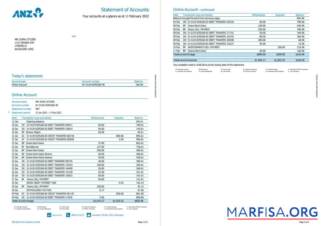 Blank New Zealand ANZ bank statement word version 2, 2 pages example